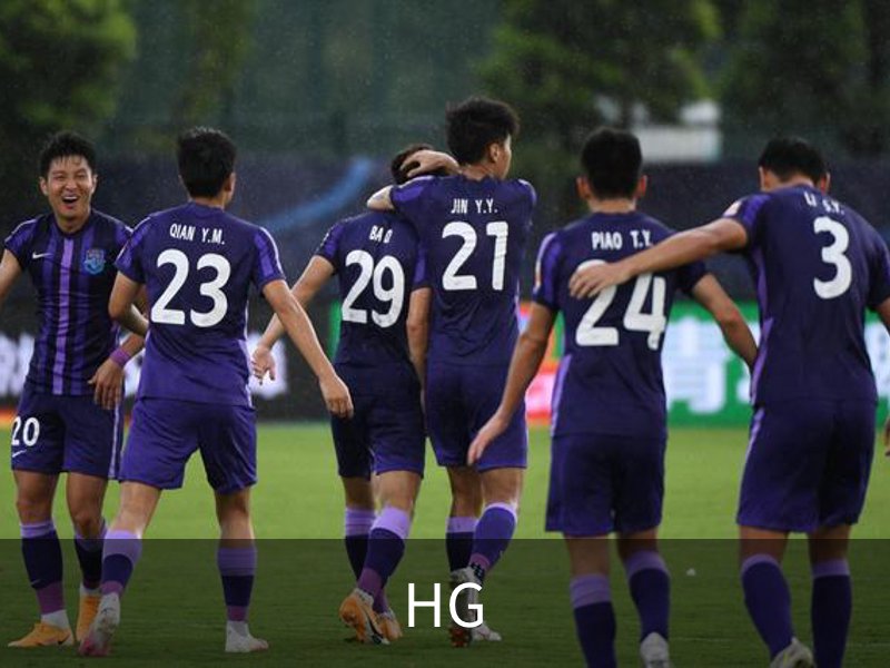 HG简介